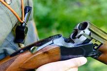 5bdafcf9d437509b368b458f