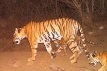 5bddf2dcd437503e7a8b45b0