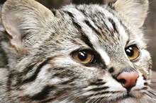 5bdc2f7d95a5973d458b45c7