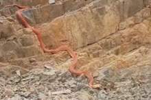 5bdf223dd437506c408b45e1