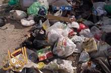 45452618_1988031661282821_8528303520699383808_n