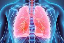 121-141052-lungs-health-food-body_700x400