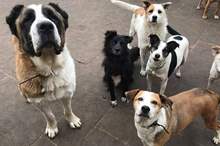 سكتة-قلبية-7