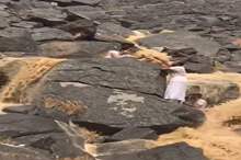 5be05fce95a597124a8b4581