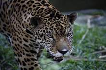 5be2f306d4375086618b4608