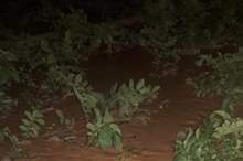 News-P-406481-636756622015762365