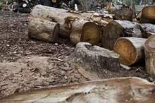 c71bdaad2dac7abe396312f5abf0f2fa