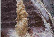 112018915210719931112