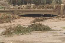 112018916481827365218