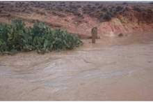 1b58b5f31476a455f0ca567b3f9a3491