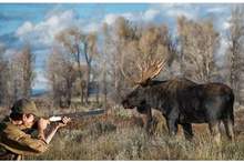 5c35c91f95a5979e058b45c3