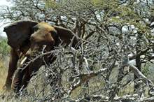 5c3600ccd437508b198b45cb