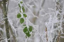 5a735f7dd4285694f0e941302641e260