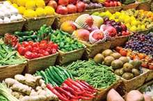 images1387813_nongsansach