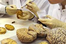 5c3853b295a597025f8b459b