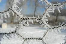 1201910222940527254674