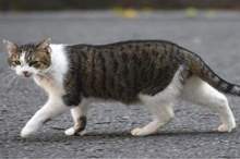 5c3c390c95a59753018b45b3