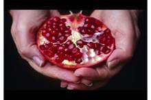 5c3c4bbcd437500f518b45f2 (1)