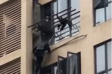 8511816-6589599-image-m-21_1547482859899