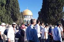 97da6ec537a6b2ef8cf9984644a846cf