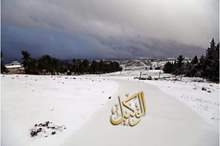 120196113214551303479