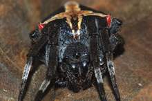 5c3dc40e95a597a5348b456b