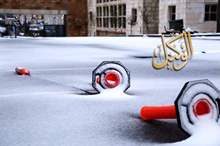 12019822712572130614