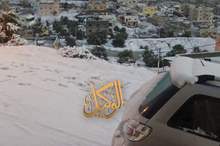 120197103323892413928