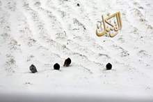 120196134554907770284