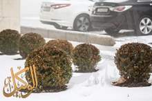 d4725c79-f70f-4d95-a4d6-b57fd07fe8ee