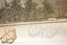 8668d7a8-5812-42b4-bef8-7be959a91395