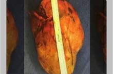 5c3e00b8d43750b77c8b457f