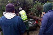 x143071.jpg.pagespeed.ic.up6AiWWj2-