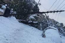 a19254fc1611423595c0dd011353440f