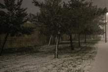 cd212c0c-b875-4c67-858f-5871a752ebd8