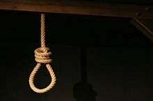 779-jpg-12428545648691727