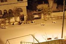 50623478_604928389936822_2970669488111878144_n