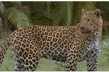 5c406c8895a597330d8b45ee