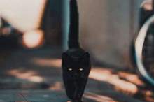 5c41bd7dd437502c7a8b4639