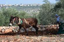 28959016_2078495705702335_1006774860613169779_n