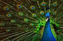 5c458ec4d43750a3318b45a5