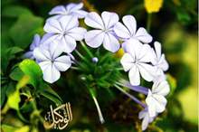 120192312202773970519