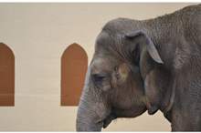 5c48866f95a597234f8b457c