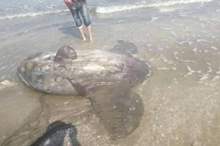 5c739a9f-fd15-4118-82ed-84406539cb90_16x9_1200x676