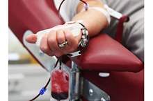 fwyd-ltbr-bldm-1537726471