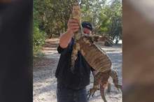 5c49dac195a597fb2d8b4609