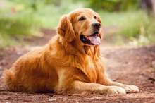 News-P-423444-636839347636841169