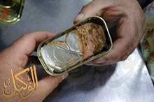 50604647_330014121186937_583179940875206656_n