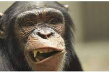 5c4afdf495a5978c1b8b45af