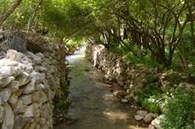 أرشيفية لوادي الريان